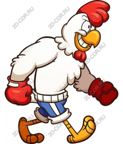  Chicken energetic boxer
