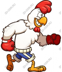  Chicken cartoon-boxer