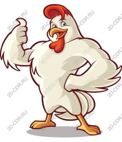  Muscle chicken