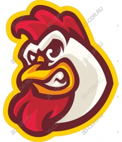 Aggressive rooster head