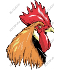  Bright rooster head