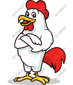  Confident Cock