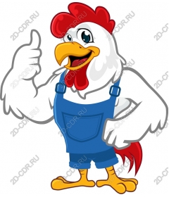 Funny cartoon rooster