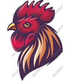  Bold head cock