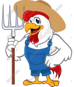 Rooster farmyard