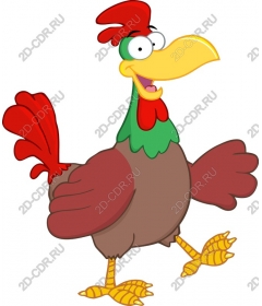 Funny cartoon rooster