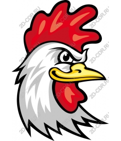  Bright rooster head