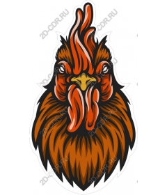  Bright rooster head