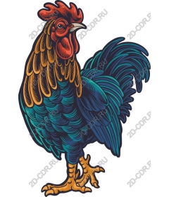  Colorful Cock