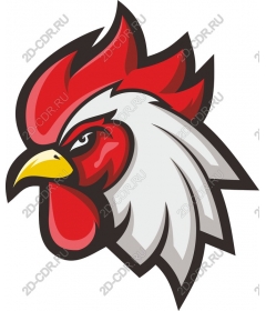  Bright rooster head