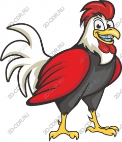 Amazing chicken