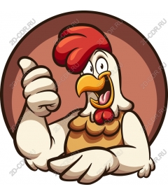 Funny cartoon chicken