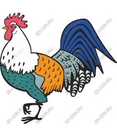  Bright Cock