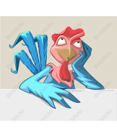 Fancy chicken