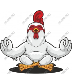Meditating chicken