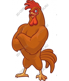 Мускулистый Петух