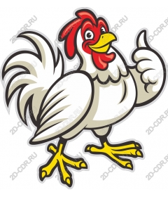 Funny cartoon chicken