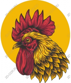  Bright Cock