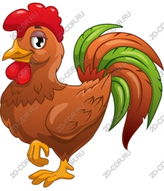  Charming Cock