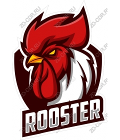  Bold Cock