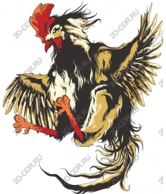 Dynamic Cock