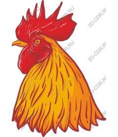  Bright Cock