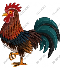  Colorful Cock
