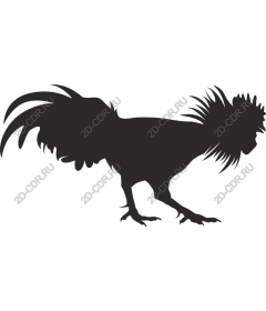  Stylized chicken