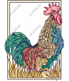  Colorful Cock