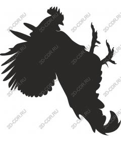 Majestic Cock