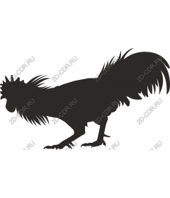  Stylized cock