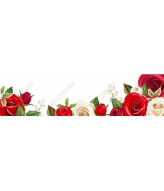  Elegant floral rose
