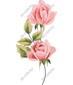  Elegant pink roses