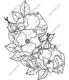  Elegant floral work
