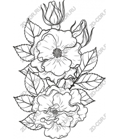  Elegant floral