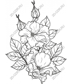  Elegant floral