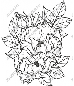  Elegant floral