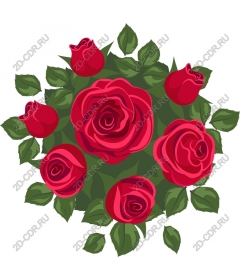  Elegant red roses