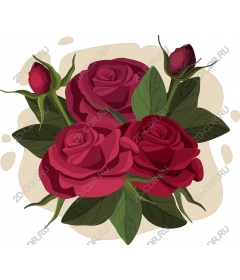  Elegant red roses