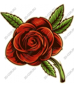  Elegant rose