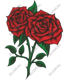  Elegant red roses