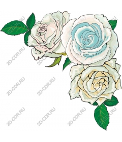  Elegant three roses