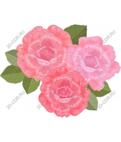  Elegant pink trio