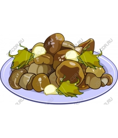  A delicious assortment of mushrooms