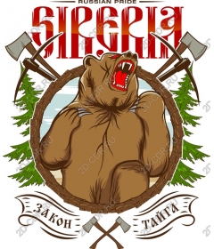  Siberian bear: a symbol of Russian pride