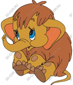  Adorable baby elephant