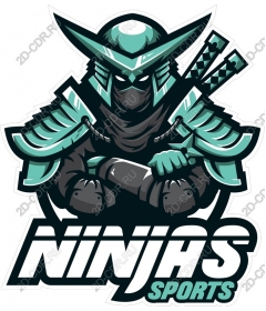 Спортивный талисман Fierce Ninja