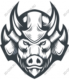  Ferocious boar's head