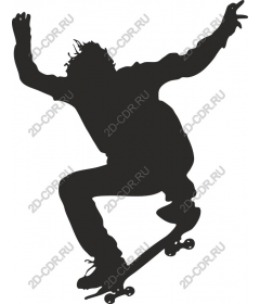  Skateboarder in action