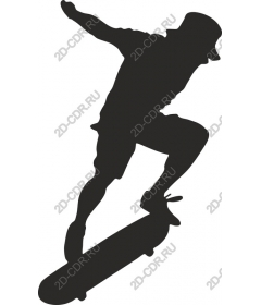  Skateboarder